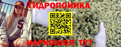 индика Вышний Волочёк