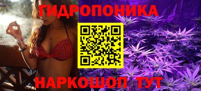 прущие крисы Вязьма